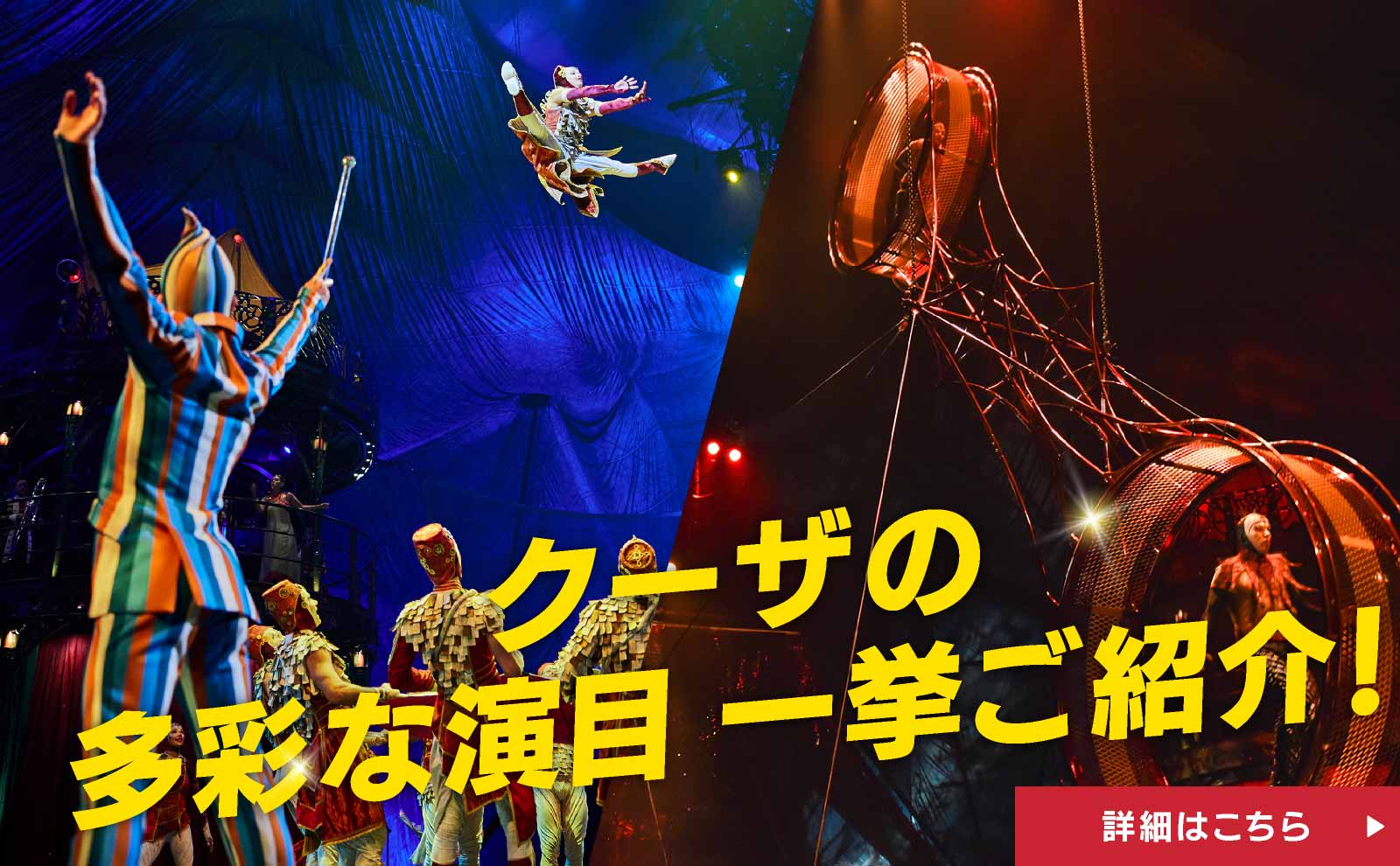 クーザの多彩な演目 一挙ご紹介！